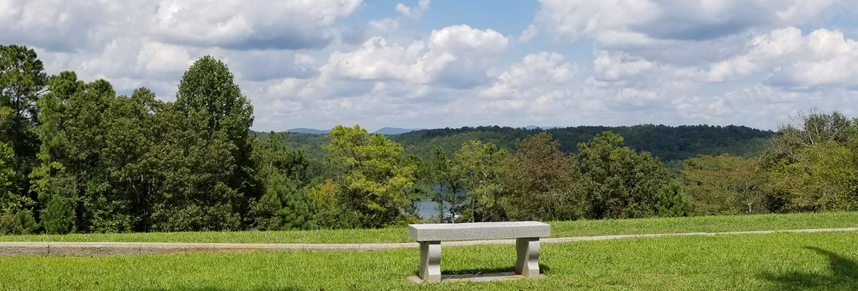 Woodstock Tax CPA Serving Holly Springs, Canton, Acworth GA